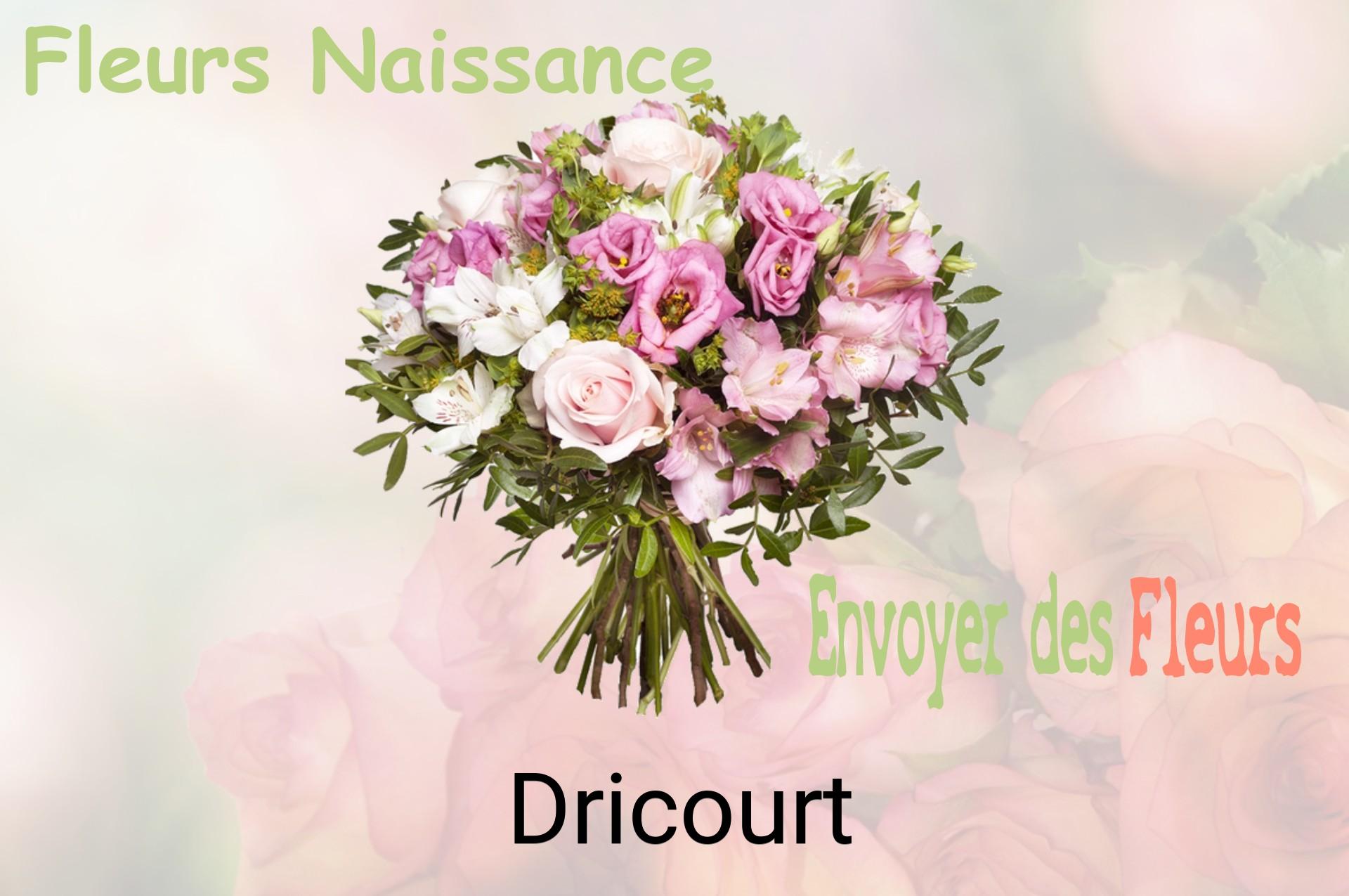 Bouquet de fleurs de naissance livré à Dricourt