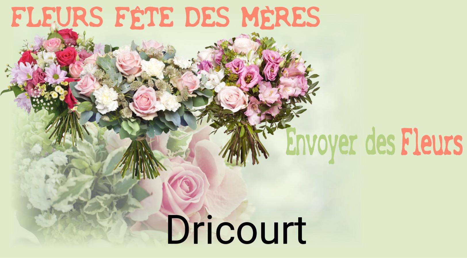 Bouquet de Fête des Mères livré à Dricourt